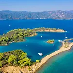 Heyday Willa Dalyan