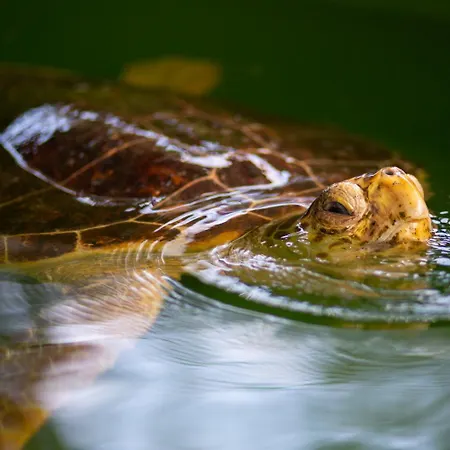 Вилла Heyday Дальян
