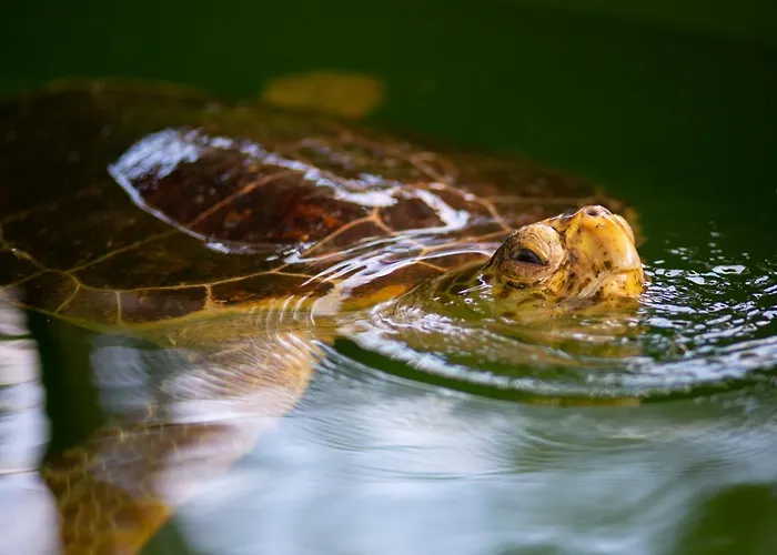 Вилла Heyday Дальян